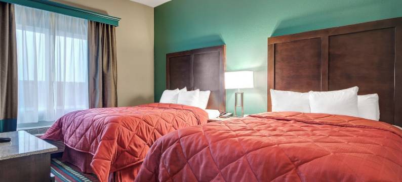 霍布斯美茵斯坦套房酒店(MainStay Suites Hobbs)图片