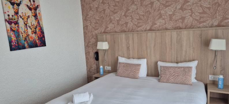 九号码头酒店(Cit'Hôtel le Quai 9 , ex le Challans)图片