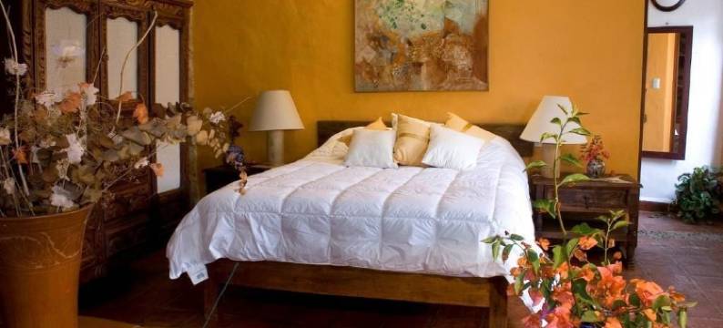 瓜穆奇尔之家(La Casa del Guamúchil)图片