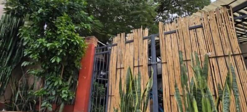 索奇米尔科的树之家旅馆(Casa del Árbol Hostel Xochimilco)图片