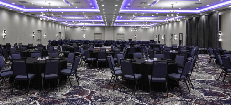 希尔顿花园旅馆-泰克瑟马活动中心丹尼森谢尔曼(Hilton Garden Inn Denison/Sherman/at Texoma Event Center)图片