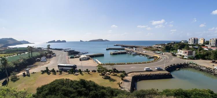 济州背包客别墅(Jeju Backpaecus Villa)图片