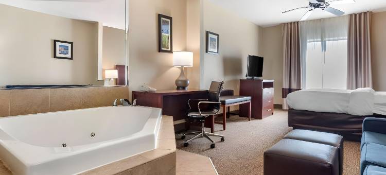 舒适酒店及套房(Comfort Inn & Suites)图片