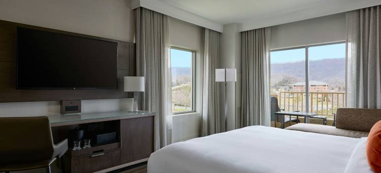 麦德威尔会议度假村及会议中心(MeadowView Conference Resort & Convention Center)图片