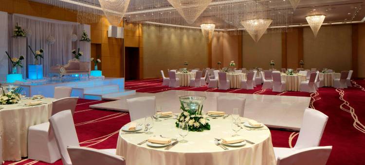 开罗机场艾美酒店(Le Meridien Cairo Airport)图片