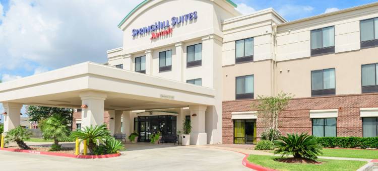 休斯敦皮尔兰SpringHill Suites酒店(SpringHill Suites Houston Pearland)图片