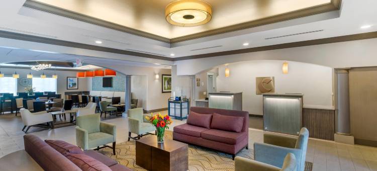 夏洛特港-蓬塔戈尔达舒适套房酒店(Comfort Inn & Suites Port Charlotte-Punta Gorda)图片