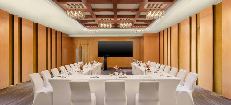 班加罗尔外环路万豪雅乐轩酒店(Aloft by Marriott Bengaluru Outer Ring Road)图片
