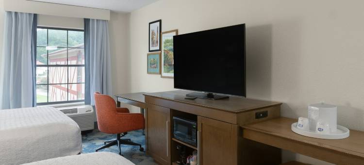 希尔顿欢朋酒店-海伦(Hampton Inn Helen)图片