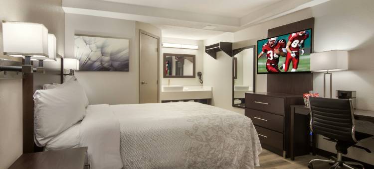 伊利红屋顶普拉斯套房酒店(Red Roof Inn Plus & Suites Erie)图片