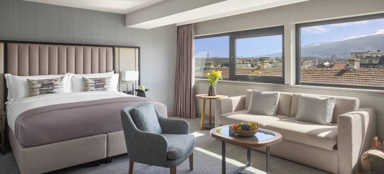 索非亚洲际酒店(InterContinental Hotels SOFIA by IHG)图片