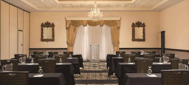 丽笙酒店和会议中心-罗克福德(Radisson Hotel & Conference Center Rockford)图片