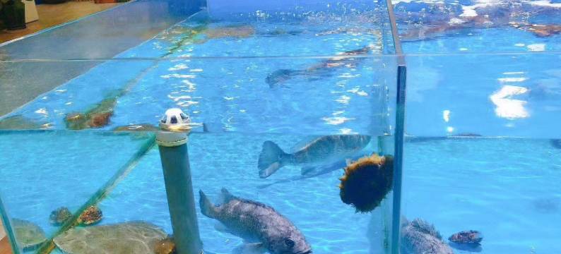 祥云大酒店(莒国古城店)图片