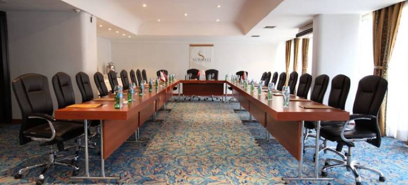 瑟美利阿达那酒店(Surmeli Adana Hotel)图片