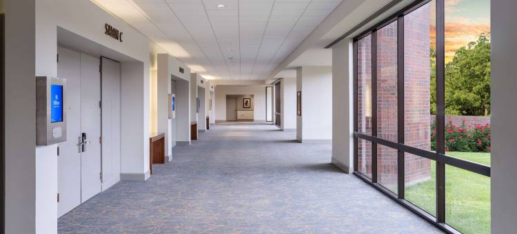 达拉斯理查森希尔顿酒店(Hilton Richardson Dallas)图片