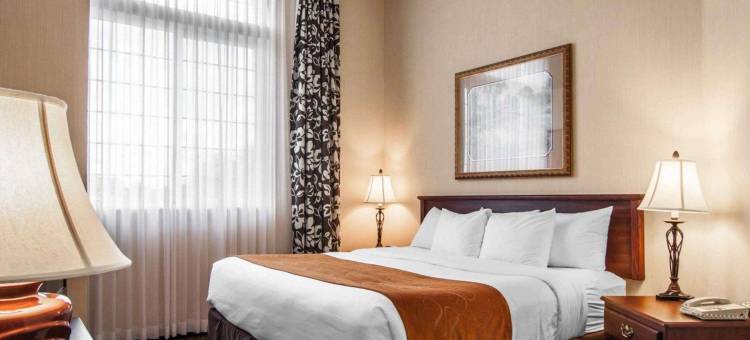 舒适套房酒店(Comfort Suites)图片
