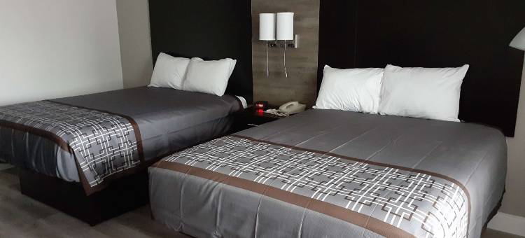 弗吉尼亚海滩Bay Beach Travelodge by Wyndham酒店(Travelodge by Wyndham Virginia Beach Bay Beach)图片