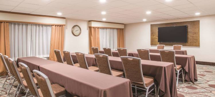 萨拉索塔 I75 舒适套房酒店(Comfort Inn & Suites Sarasota I75)图片