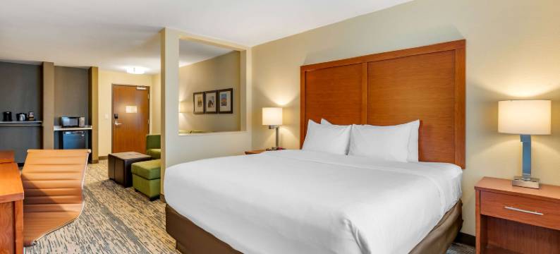 西德梅茵舒适套房酒店(Comfort Inn & Suites West des Moines)图片