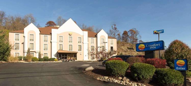 匹兹堡舒适酒店(Comfort Inn)图片