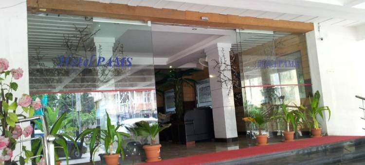 帕马斯酒店(Hotel Pams)图片