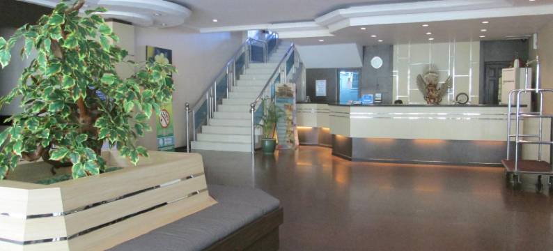 鸽子酒店(Merpati Hotel)图片