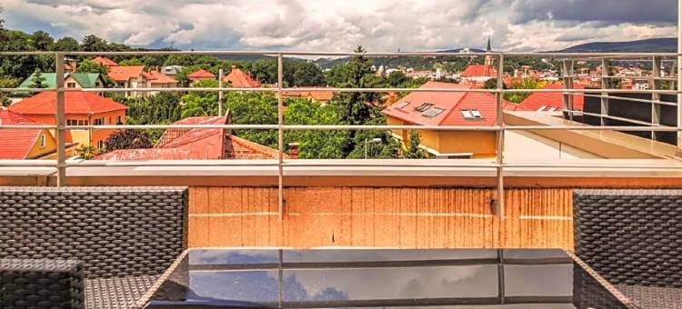 温德姆-克卢日酒店(Wyndham Cluj)图片