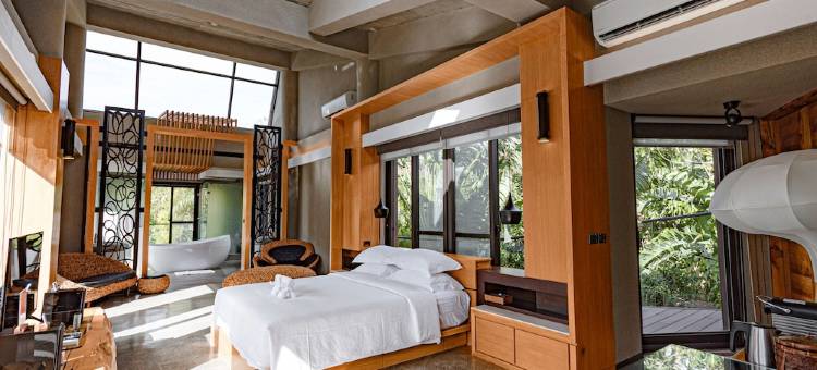 屏东白砂15图片