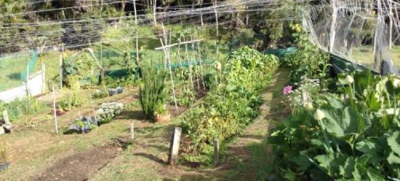 白马拉马瀑布小屋(Waiotemarama Falls Lodge)图片