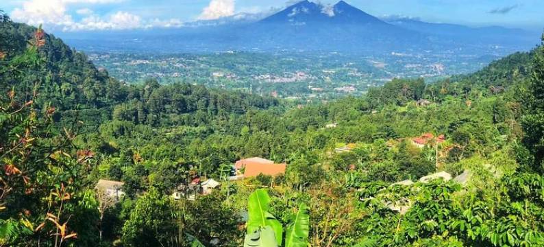 De Wind Villas Paseban Puncak (Syariah)图片