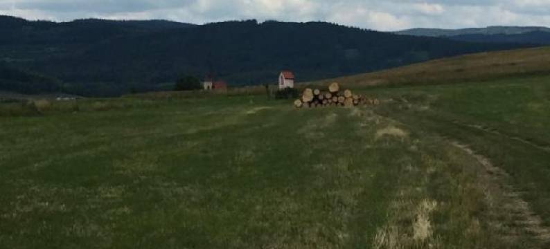 纳林库旅馆及餐厅(Penzion Restaurace Na Rynku)图片