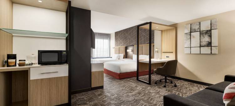 希尔营SpringHill套房酒店(SpringHill Suites Camp Hill)图片