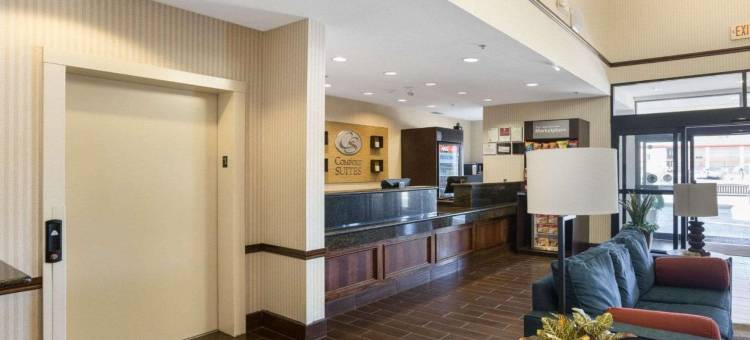 普莱恩维尤舒适套房酒店(Comfort Suites Plainview)图片