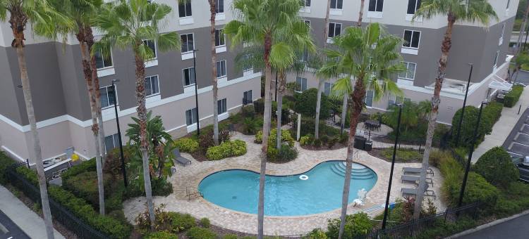 坦帕I-75布鲁斯B唐斯智选假日套房酒店(Holiday Inn Express & Suites Tampa-I-75 @ Bruce B. Downs)图片