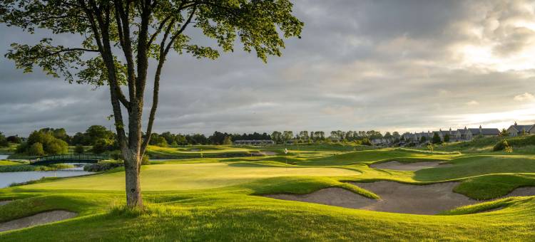 K俱乐部酒店(The K Club)图片