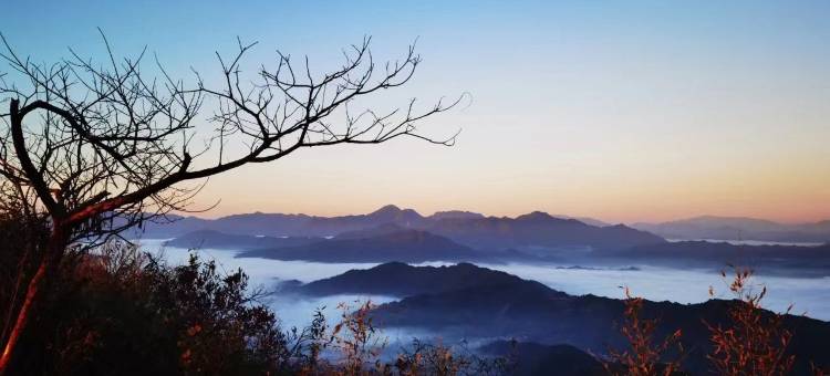 51Camp富阳云海营地图片