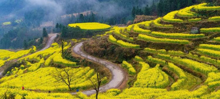 梦里老家客栈(江岭景区店)图片