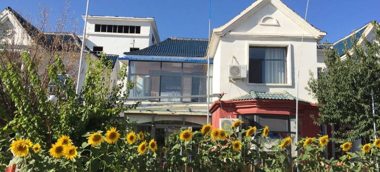 库布齐沙漠精品民宿(政府路分店)图片