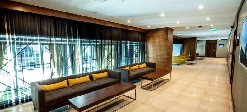 迪亚巴克尔丽笙蓝标酒店(Radisson Blu Hotel Diyarbakir, Turkey)图片