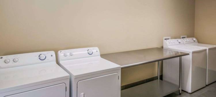 纽约州游乐场舒适酒店(Comfort Inn - Nys Fairgrounds)图片