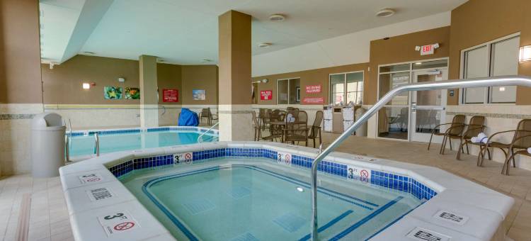 圣路易斯圣查尔斯特鲁里广场酒店(Drury Plaza Hotel St. Louis St. Charles)图片