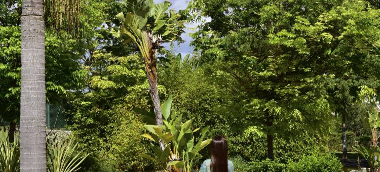 佩斯塔娜阿尔沃公园公寓酒店(Pestana Alvor Park Suites Hotel)图片