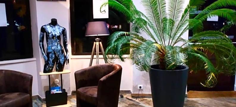 皇冠酒店(Hôtel la Couronne)图片