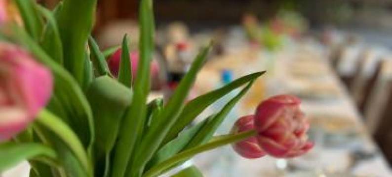 Płonia Resort图片