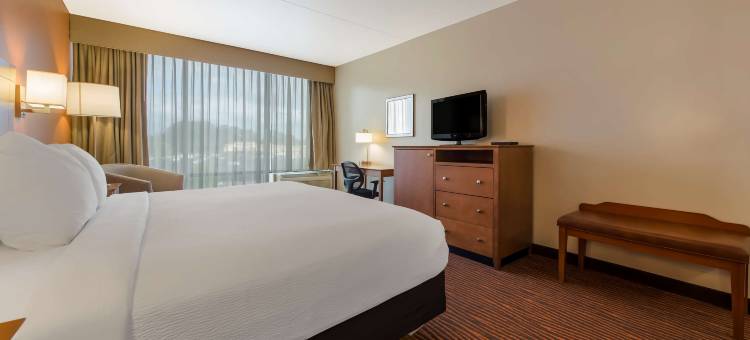 西黑文行政贝斯特韦斯特酒店(Best Western Executive Hotel of New Haven-West Haven)图片