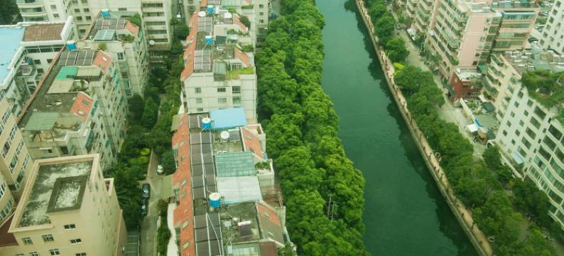 禧乐公寓(人民中路分店)图片