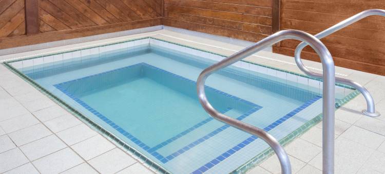 达文波特东戴斯套房酒店(Days Inn & Suites by Wyndham Davenport East)图片