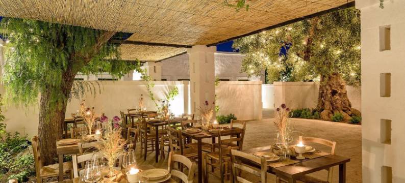 玛西利亚纳度齐民宿(Masseria Narducci)图片