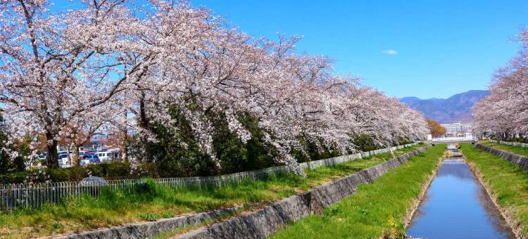 Tabist山城温泉酒店(Tabist Hotel Yamashiro Onsen)图片