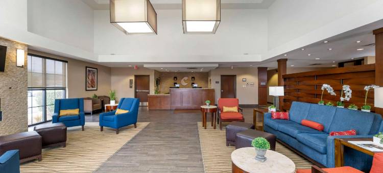 卡尔斯巴德舒适套房酒店(Comfort Suites Carlsbad)图片